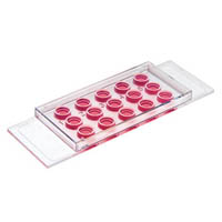 ��-Slide Ѫ�������d��Ƭ