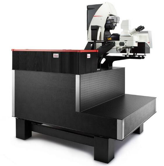 ��(gu��)�ƿ� ���۽��@΢�R STELLARIS DIVE