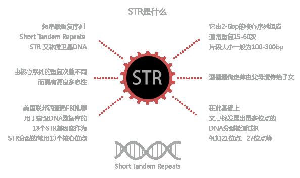 STRԇ��,����ɹ�z�y(c��)ԇ����,���t(y��)�z�y(c��)ԇ��