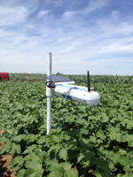 SapIP-IRT �o���t���~�؜y��ϵ�y(t��ng)