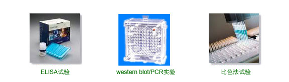 ���g(sh��)����(w��)/ø����ɫԇ����