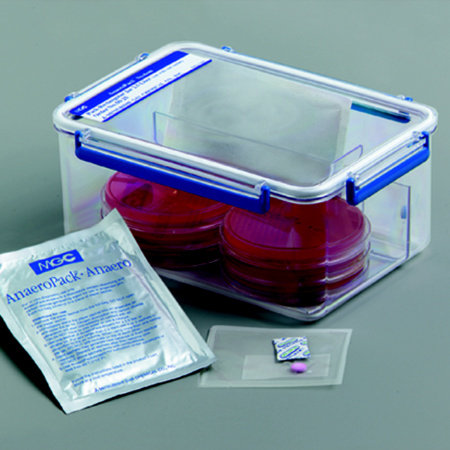 �ձ�����MGC�ܷ����B(y��ng)��2.5L