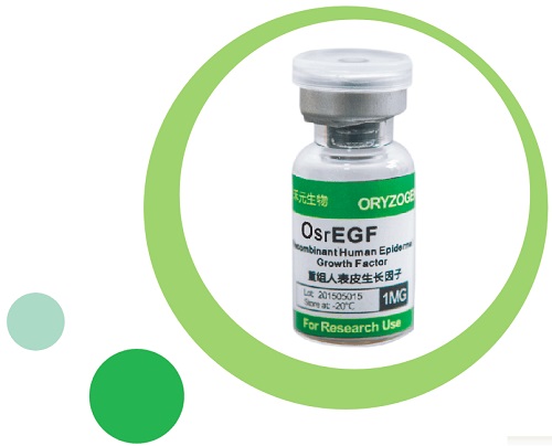 重組人表皮生長(zhǎng)因子rhEGF