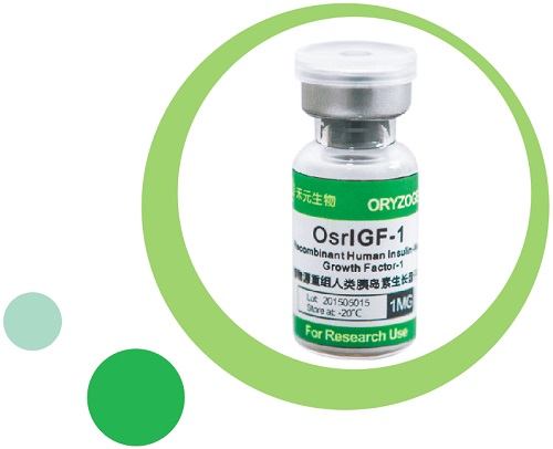 �ؽM����ȍu�����L(zh��ng)����-1 rhIGF-1 LR3