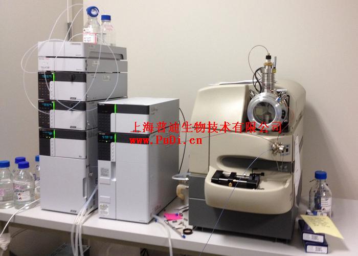 �������Y��ƽ�_,�������Y���|(zh��)�V�x