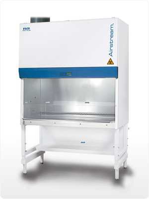 ���ﰲȫ��