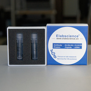 Elabscience ��Ʒ�|(zh��)���w��һ�������F(xi��n)؛