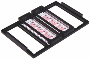 �d��Ƭ�@΢�R��