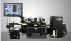 ؐ�����젖��MoFlo XDP