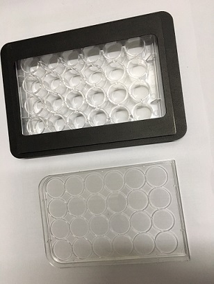 �@΢�R��Ʒ��/�@΢�R��Ʒ�A���m�϶�װ壩