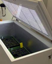 FS360�Pʽ�˹������