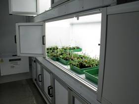 ����LEDֲ�����B(y��ng)�_