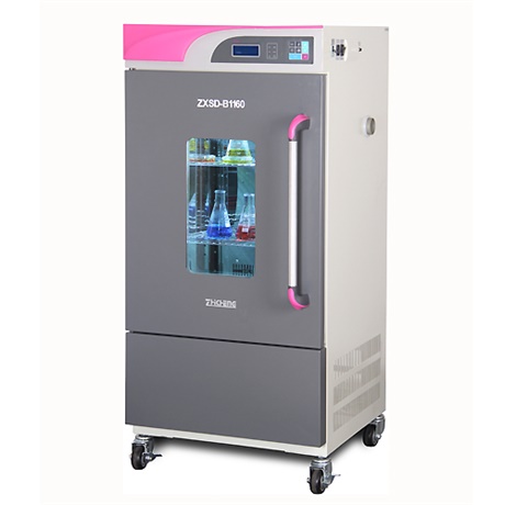 �������B(y��ng)��