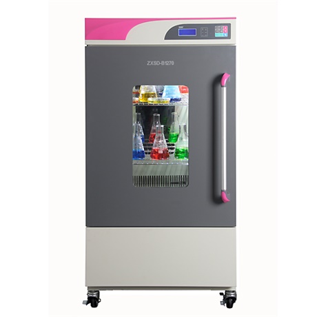 �������B(y��ng)��