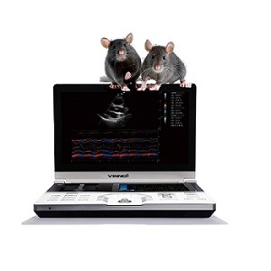 С��(d��ng)�ﳬ����ϵ�y(t��ng)