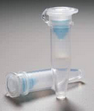 ����(d��ng)���צ�/��-SMA/�� Actin���w