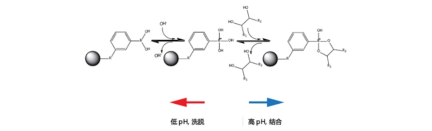 �������H�͌������|(zh��)
