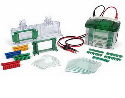 Bio-Rad��������С�ʹ�ֱ�Ӿ��1658001