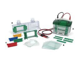 Bio-rad���� 1658001 ˮƽ�Ӿ��