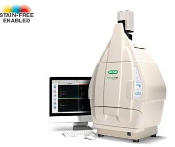 ����GelDocXR���z����ϵ�y(t��ng)�ۺ�‌‌�S���Ԓ