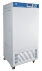 ��غ����