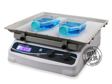 Óɫ�e����ˮƽ��