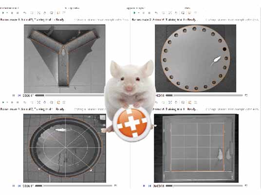 ANYmaze ��(d��ng)���О�ҕ�l��ۙ����ܛ��