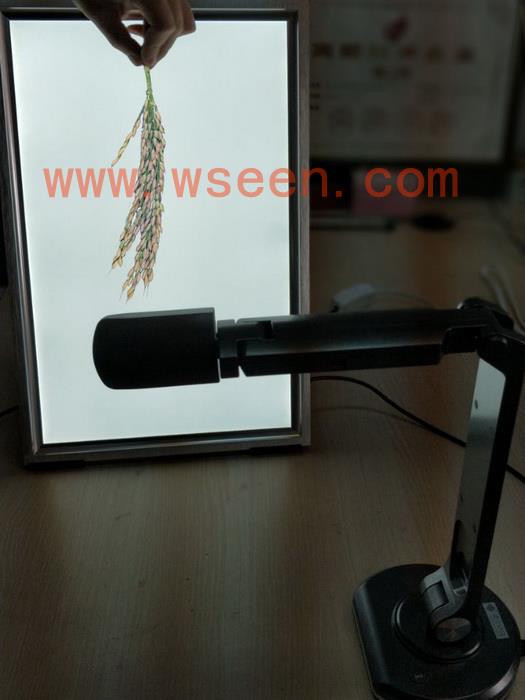 萬(wàn)深SC-K型水稻麥穗穗長(zhǎng)-莖粗-莖葉角測(cè)量?jī)x