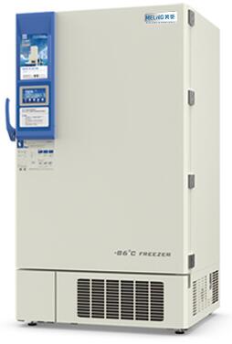 ���͜�����惦�䳬�͜����������DW-HL778