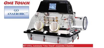 �������B(y��ng)�䡪�Ї��^(q��)������