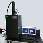 ֲ����w����l(f��)�����ϵ�y(t��ng)