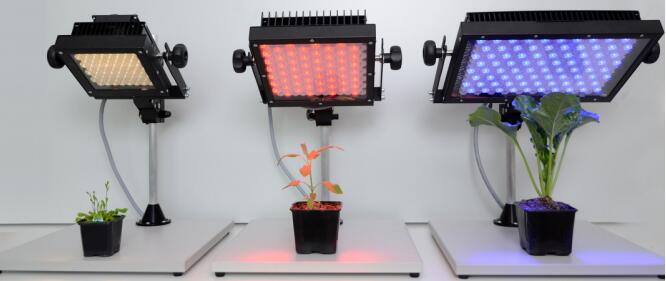 SL3500 ����LED��Դ