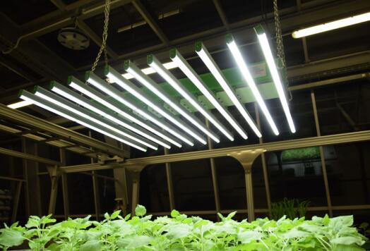 �Uʽ����LED��Դ