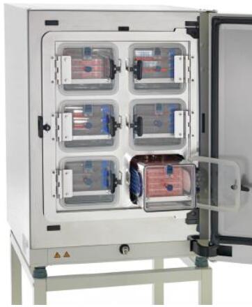 ȫ�·䳲CO2���B(y��ng)��