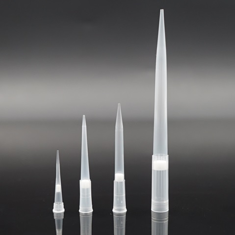 NEST �Vо���^