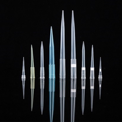 NEST �o�Vо���^