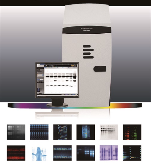 Vilber ���W�l(f��)�����ϵ�y(t��ng)