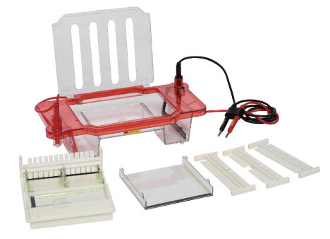 ˮƽ��֬���Ӿ��