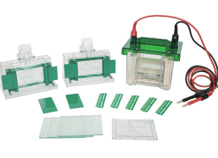 С�ʹ�ֱ�Ӿ�ۣ�֧��ԇ�ã�