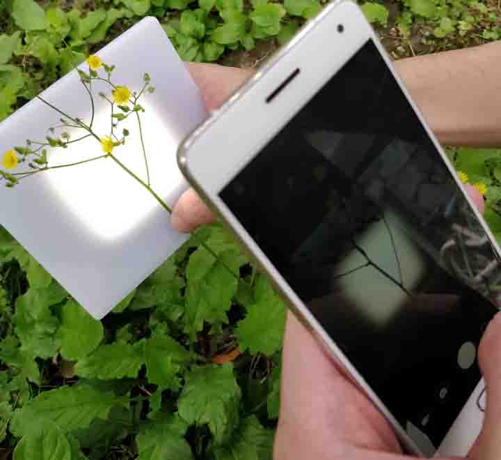 �f��SC-K1���Ԅ�ԭλ���wֲ���֦�ǜy���x