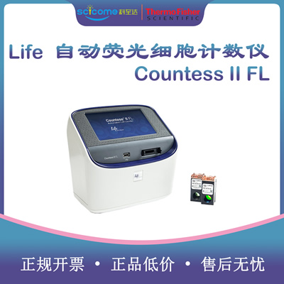 Countess II FL �Ԅӟɹ⼚��Ӌ��(sh��)�x