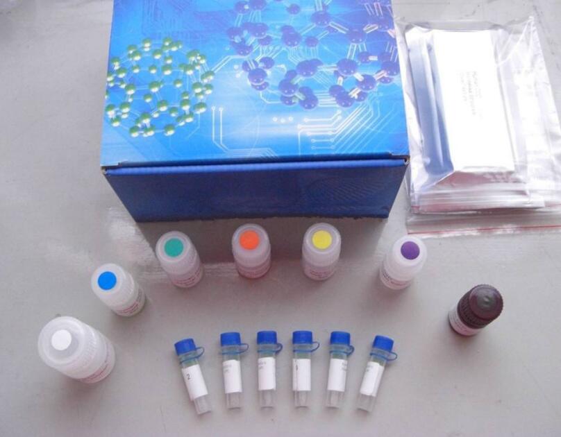 ���϶���PCR�M(j��n)��ԇ����ʹ�ò��E