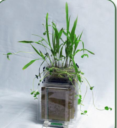 �N���Ȱl(f��)�� �N�Ӱl(f��)ѿ��