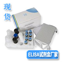 ����׽���12ELISA�˜�����