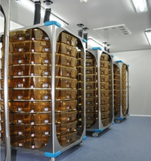 EVCС����B(y��ng)�\��С��EVC��B(y��ng)�\