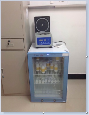 ˎƷ����䣨ˎƷ����III�ڣ�