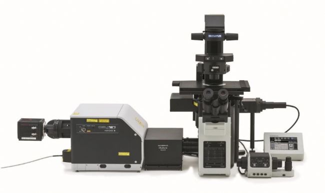 �p���輤�⹲�۽��@΢�R