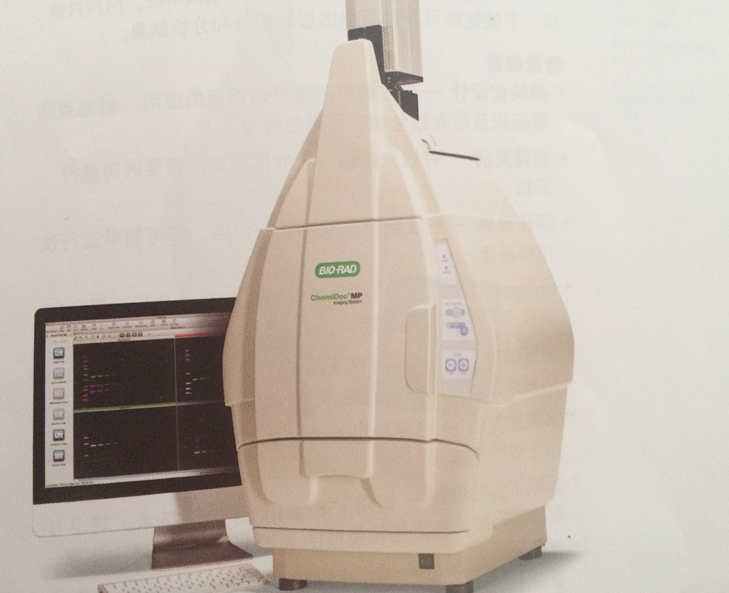 ��������BioRad�ۺ�S�޷�������