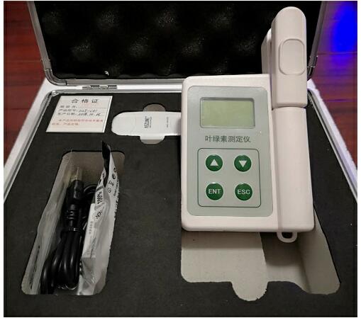 ��yʽֲ���~�G�����������~Ƭ�؝�y���x