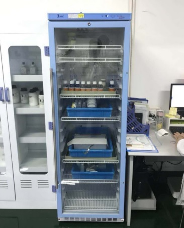 ����ˎ������10��15��25��30��